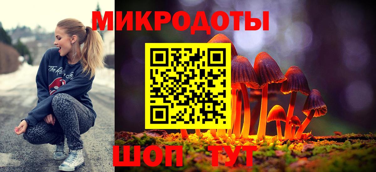 Галлюциногенные грибы Psilocybine cubensis Узловая